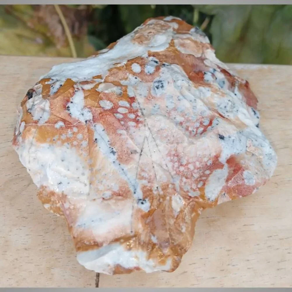 #8 EXTREMELY RARE! Bohmeite chunk fossil /stone / rock / crystal